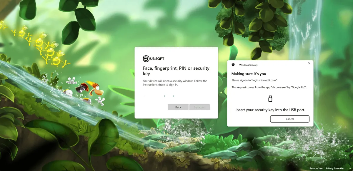 The login page requesting the user to insert the security key.