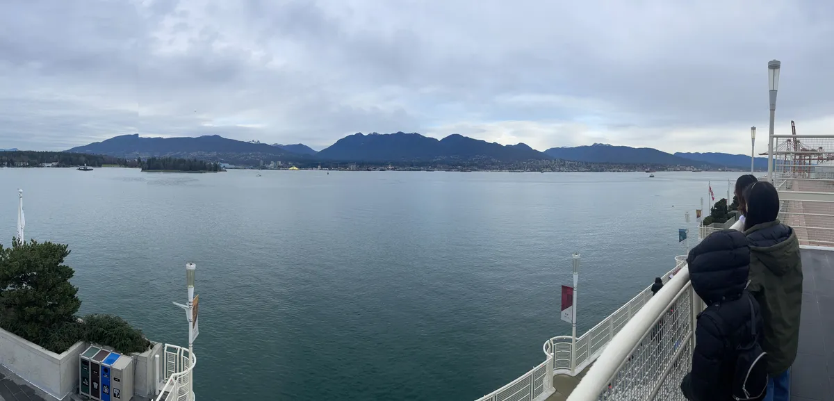 Panoramic view of the port.